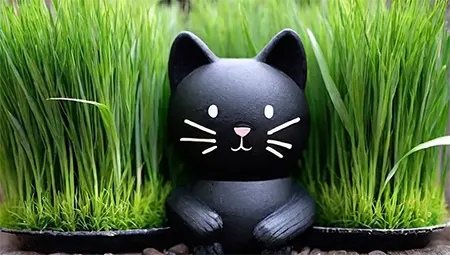 Black Cat Grass Pot