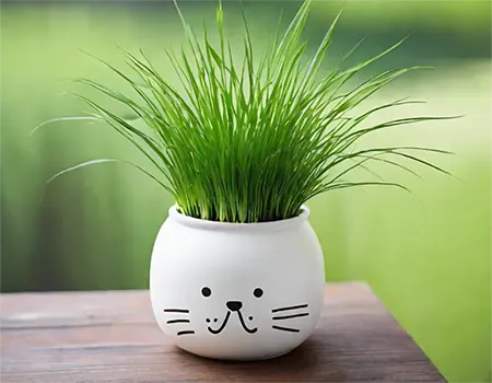 White Cat Grass Pot