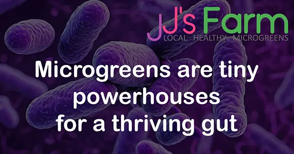 Microgreens are good for your gut